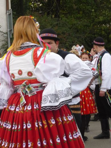 ceska22.jpg