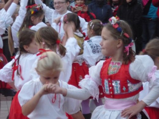 ceska29.jpg