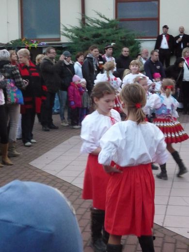 ceska30.jpg