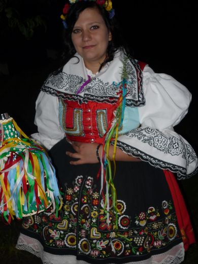 ceska37.jpg