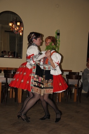 holubice05.JPG