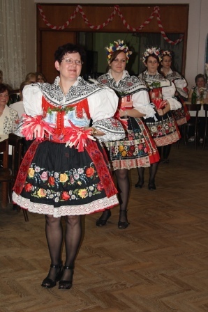 holubice12.JPG