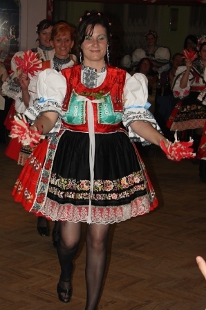 holubice13.JPG