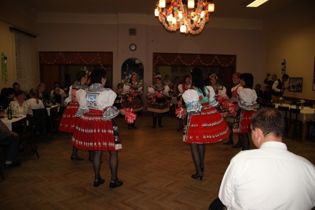 holubice15.JPG