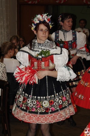 holubice18.JPG