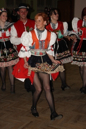 holubice24.JPG