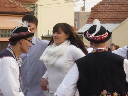 hosteradky62.jpg