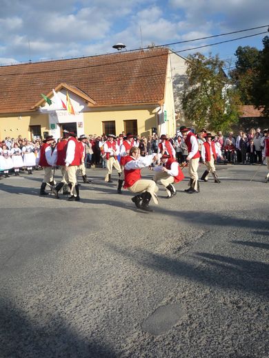 ochoz17.jpg