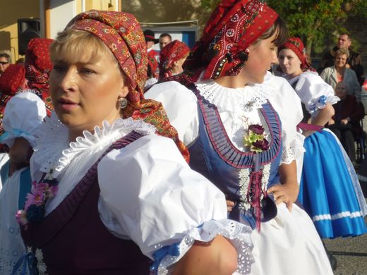 ochoz31.jpg