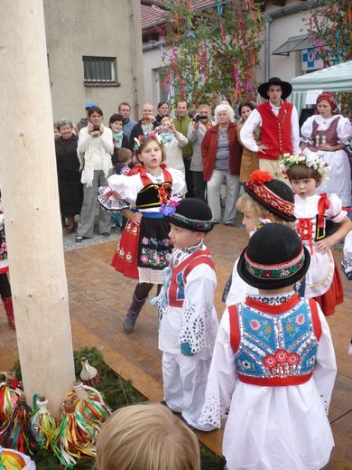 ochoz42.jpg