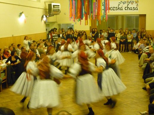 ochoz55.jpg