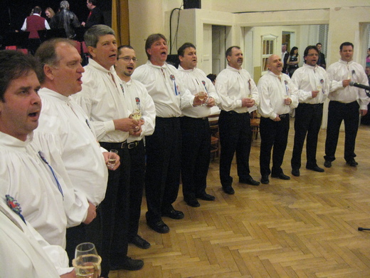 svarcavan05.JPG