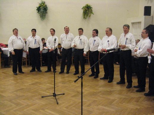 svarcavan08.JPG