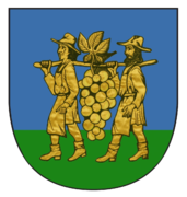 Obec Blučina